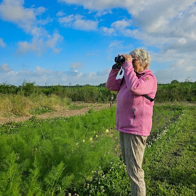 Bioblitz in voedselbos Geldermalsen brengt natuur in kaart