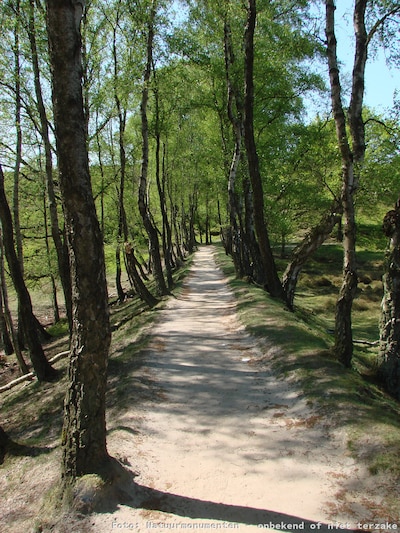 Wandeling door Veluwezoom met gids vanuit Arnhem