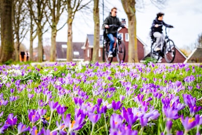 Lenteweer! Hoe ga jij er dit weekend van genieten?