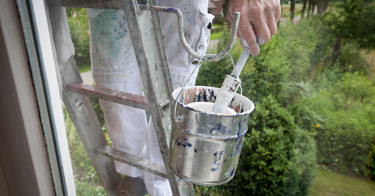 Vrouw uit Langenboom (30) springt na ruzie huisschilder op de nek