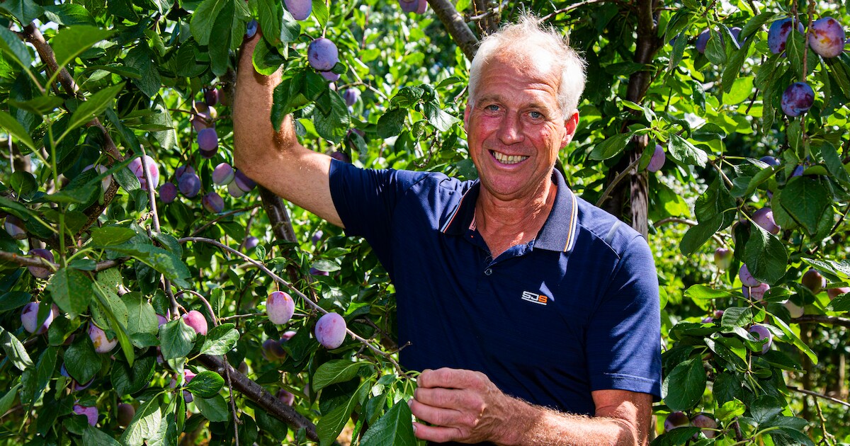 Fruitkweker Theo Wolters uit Groessen wint het Liemers Compliment