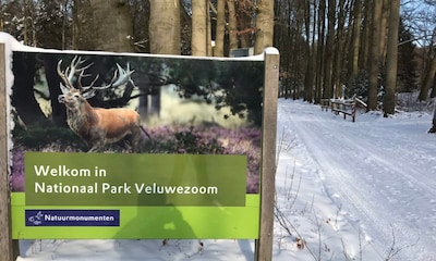 Wandeling met gids door Veluwezoom