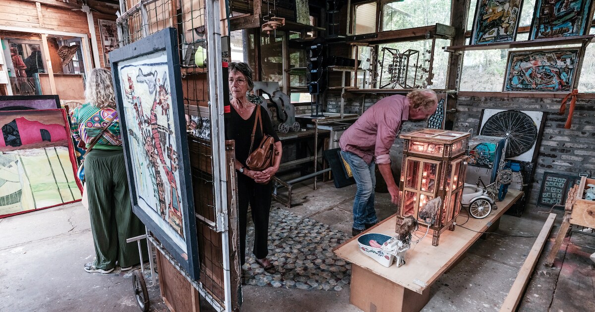Drie jaar na dood kunstenaar Varsselder is er een overzichtstentoonstelling: ‘Alles hier in huis ade