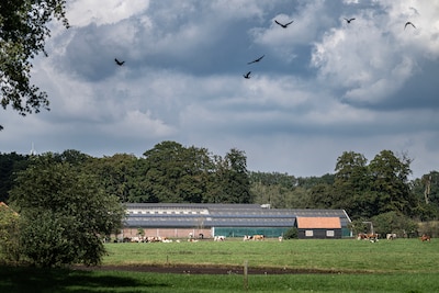 Voor de boer vlak bij de Veluwe of de Peel is er weinig toekomst in de ogen van het nieuwe kabinet