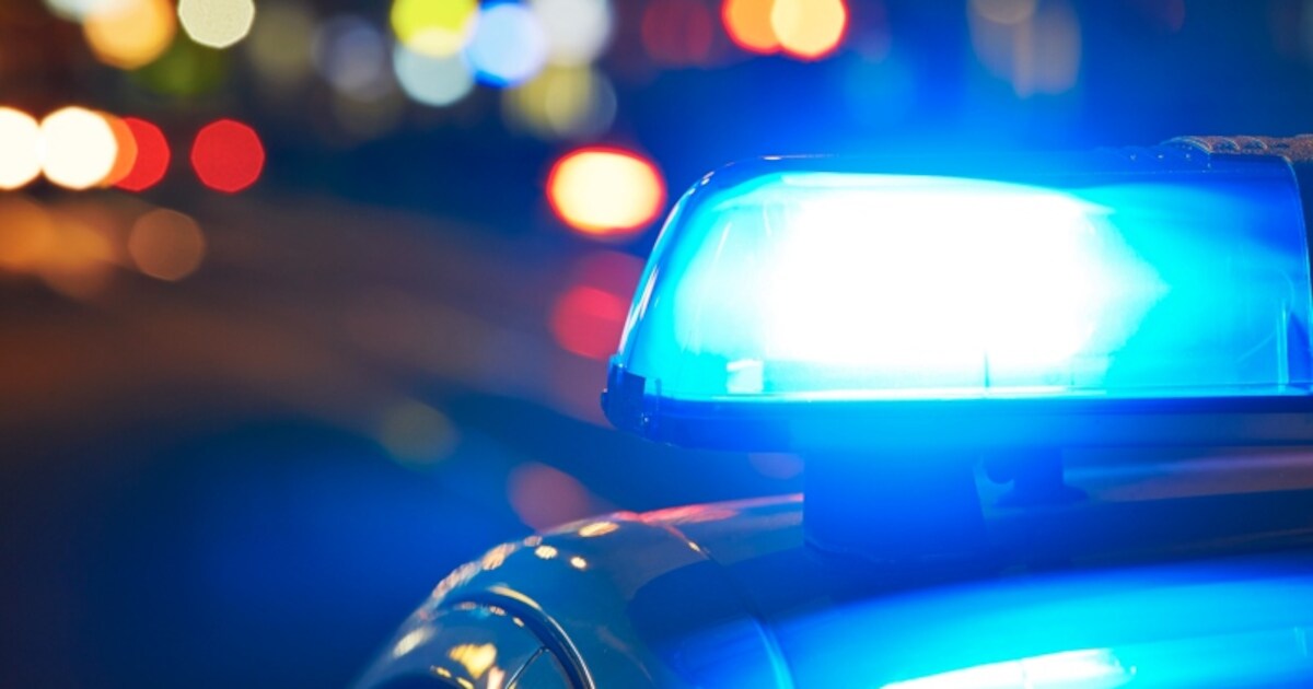 Wilde achtervolging van Franse auto op A58 bij Ulvenhout: bestuurder ramt politiewagen en vlucht spo