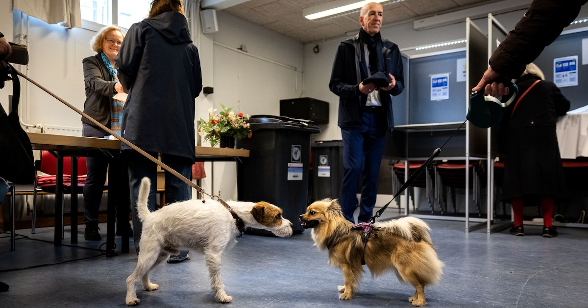 Zo stemde Nijmegen: in deze wijk haalde GroenLinks-PvdA 41 procent van alle stemmen