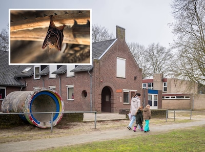 Overloon moet nog even wachten op nieuwe woningen: eerst moeten de vleermuizen verhuizen