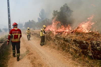 Zuid-Europa vreest nieuwe bosbranden door extreme hitte: hoogste alarmfase in Portugal, mogelijk 44 graden