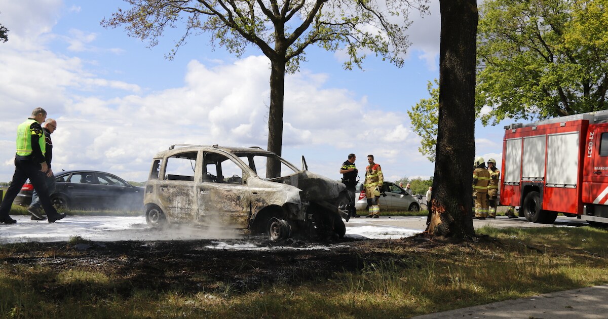 Automobiliste gewond bij botsing tegen bomen, auto vliegt in brand