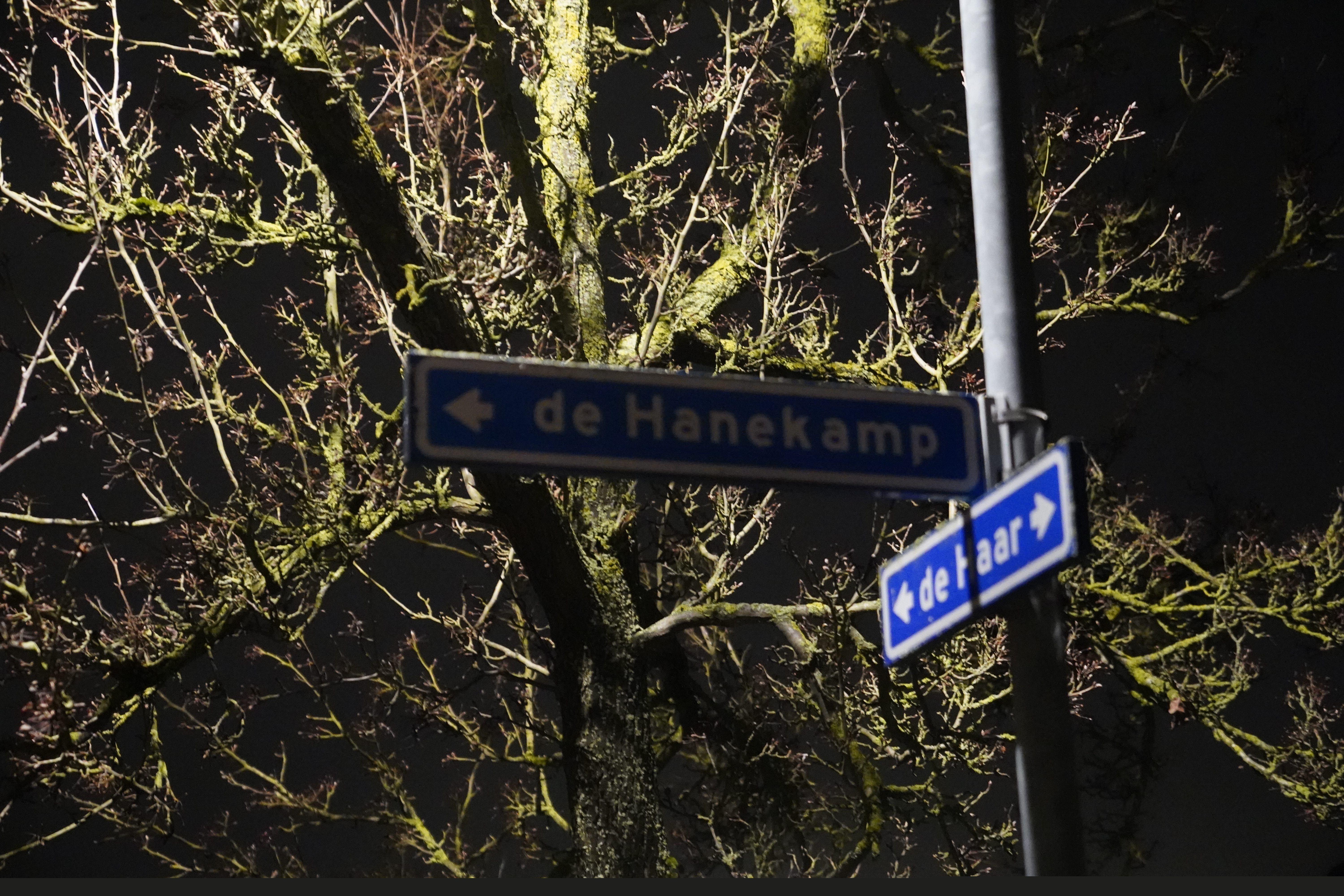 Hennepkwekerij in woning in Vorden ontdekt, drie bewoners zijn verdachten