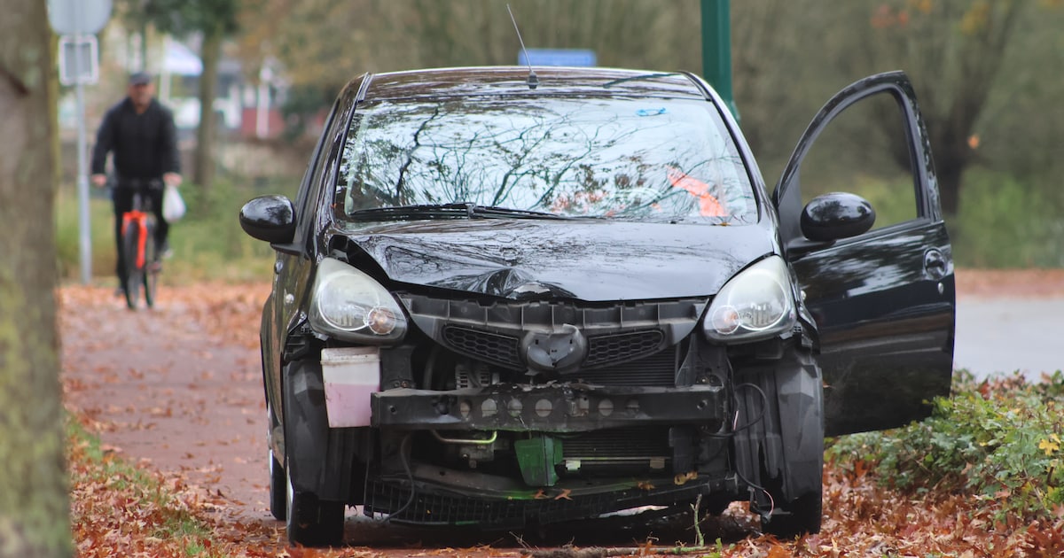Bestuurder gewond bij eenzijdig ongeval op de Dagpauwooglaan in Veenendaal