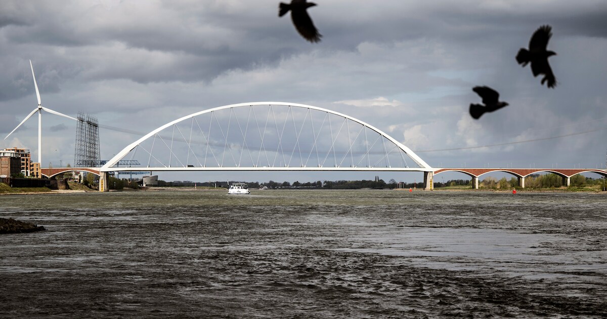 Hoe stadsbrug De Oversteek uitgroeide tot een icoon van Nijmegen ...