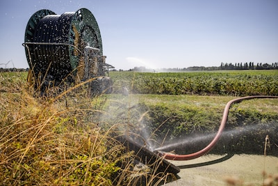 Angst bij boeren groeit voor gigantische schade door droogte, niet alleen voor nu maar ook voor de toekomst