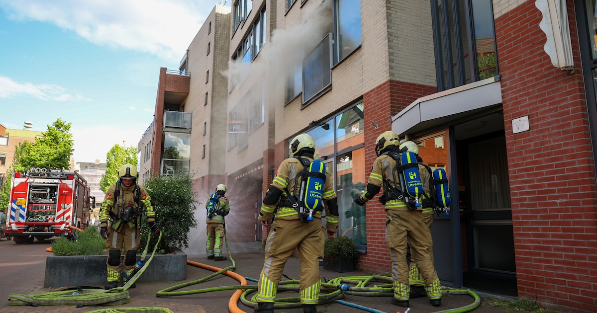 Kat gered bij woningbrand aan de Rozenstraat in Zeist