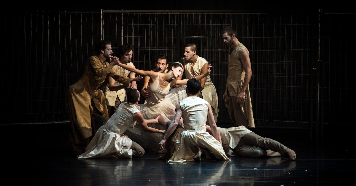 De veerkracht van de Oekraïners is ongekend, hoe zouden Nederlanders het in die situatie doen?