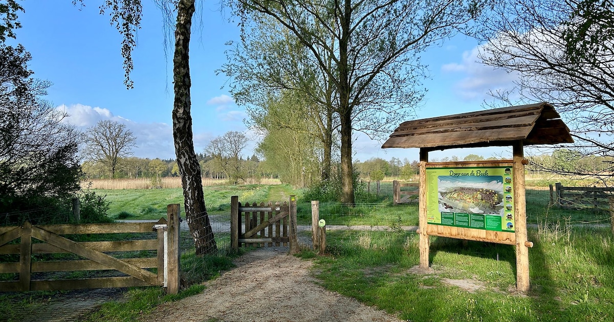 Open dag ‘Dorp aan de Beek’ in Vessem