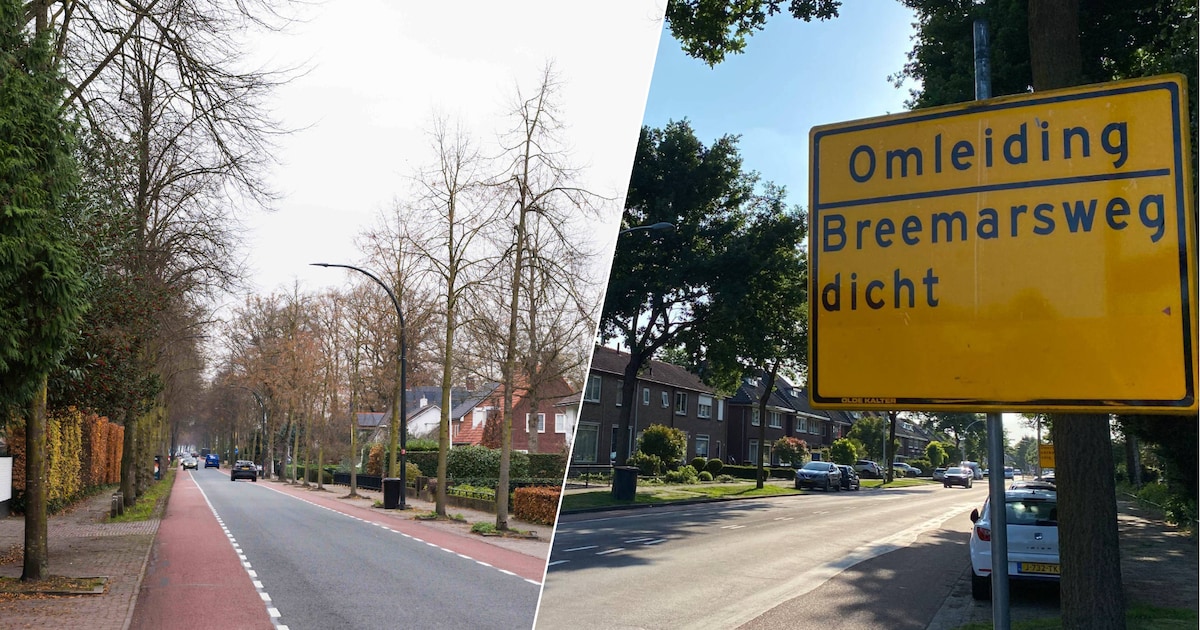 Vier toegangswegen in Borne en Hengelo op de schop: bewoners vrezen verkeersproblemen