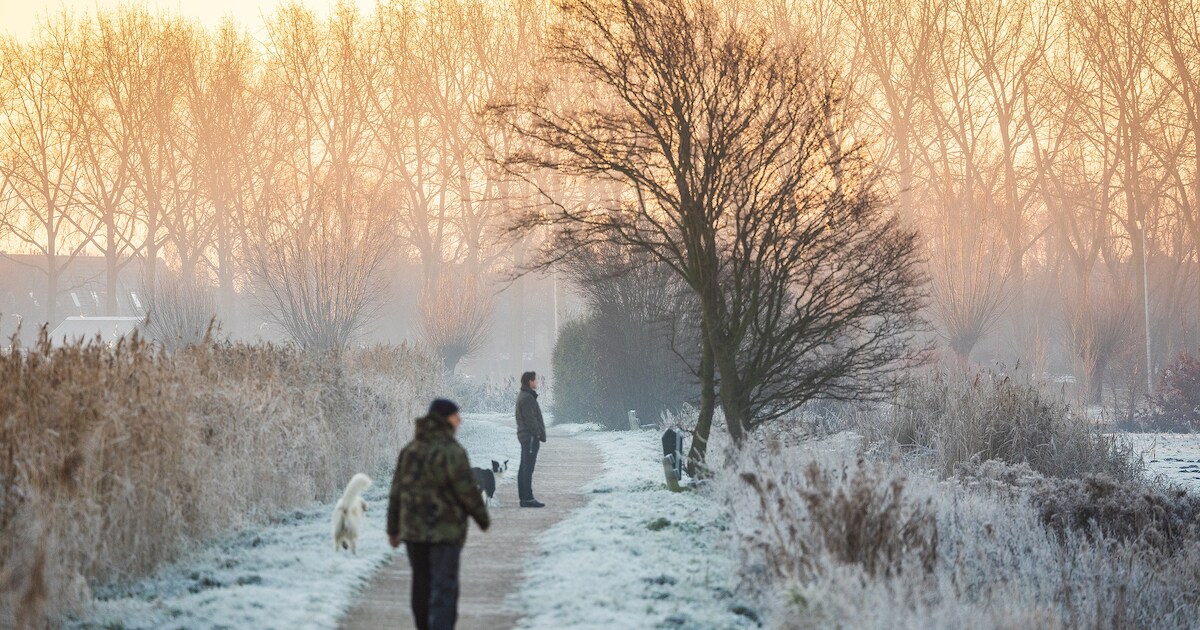 Gladheid en mist zorgen voor ongevallen, code geel nu opgeheven ...