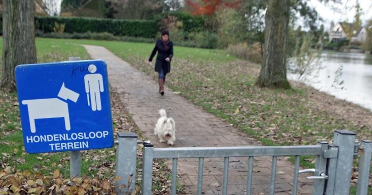 Uitlaatplek voor hond Slijk-Ewijk