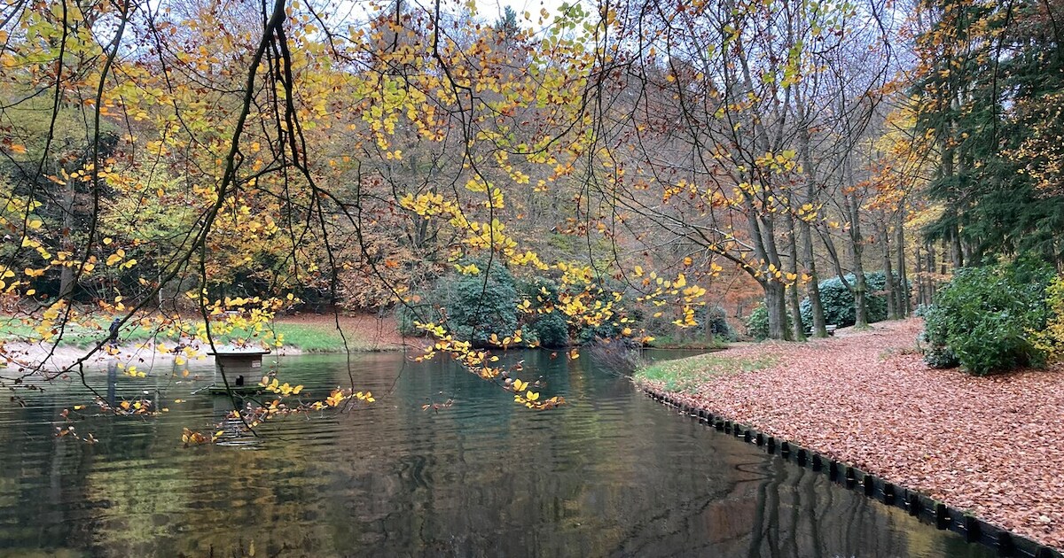Boswandeling op landgoederen Pietersberg en Hemelse Berg | Arnhem | De ...