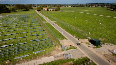 Hier lag 11 hectare aan akker, maar nu neemt de zon het over (en straks de schapen)