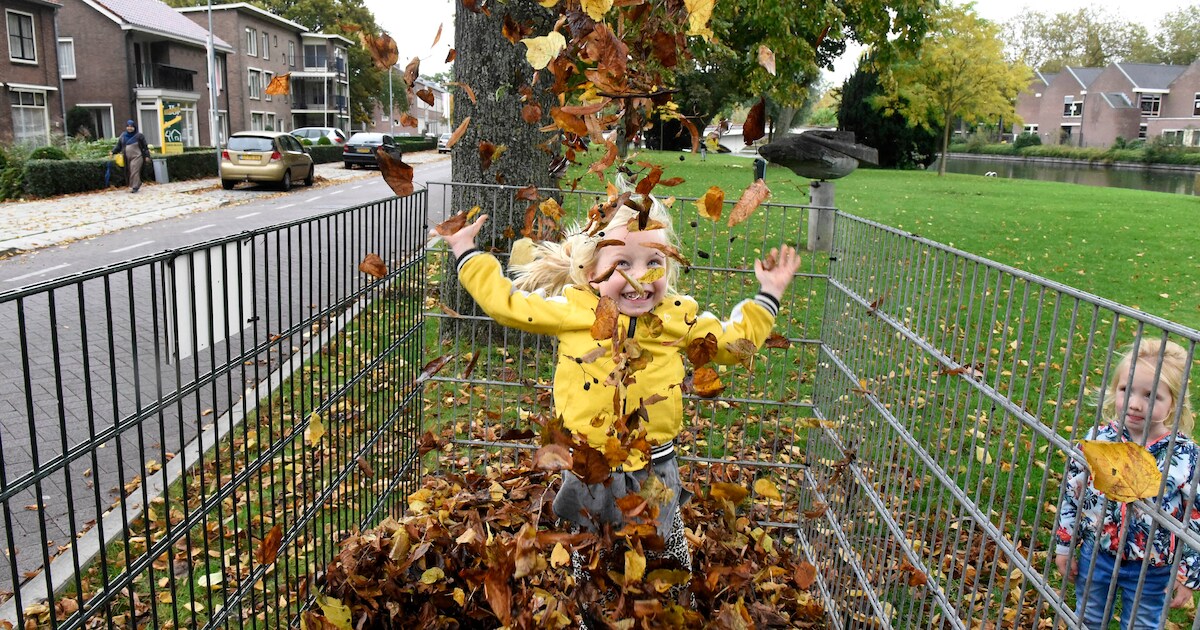 Proef geslaagd, Rhenen gaat door met plaatsen van bladkorven die nu ook egelvriendelijk zijn