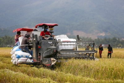 Raakt Iran-oorlog ook productie kunstmest en ons voedsel? ‘Het kan nijpend worden’