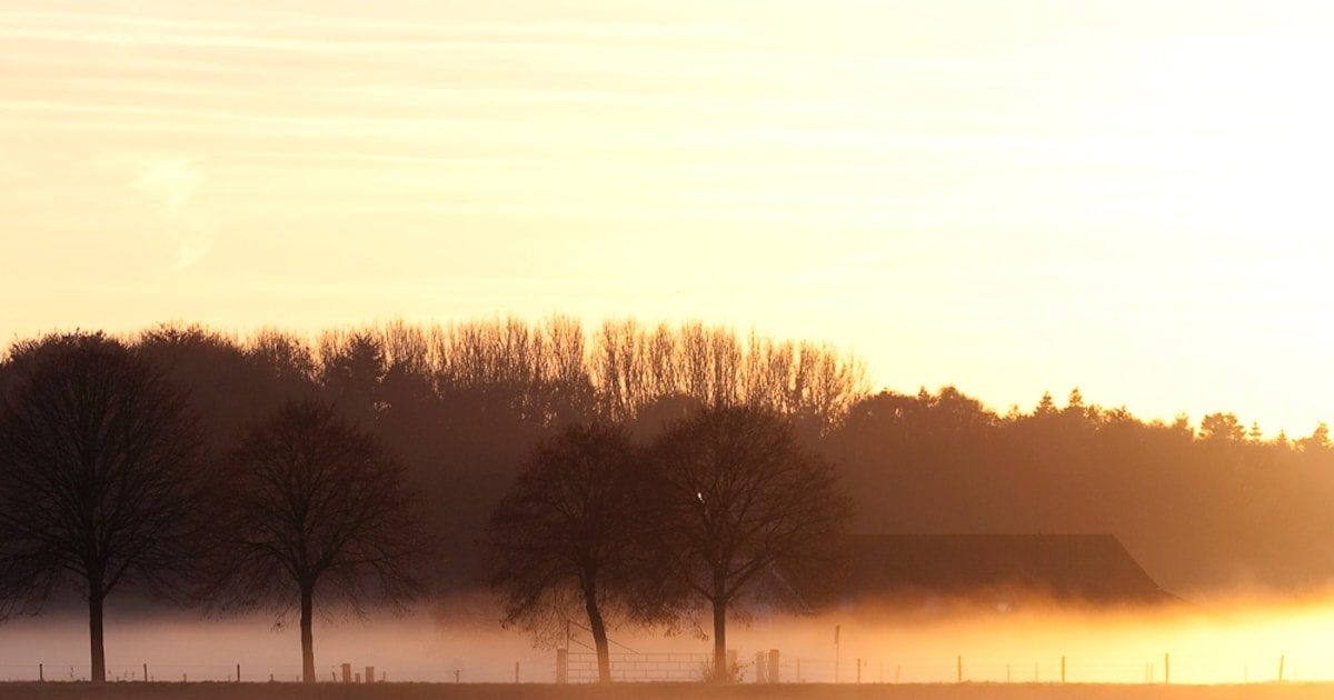 Portret van familie Liebe bij de EO