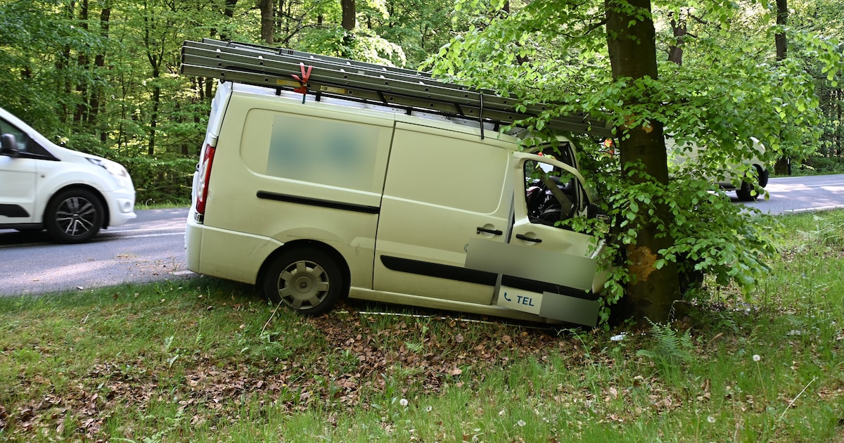 Bedrijfsbus tegen boom op de N330 bij Zeddam