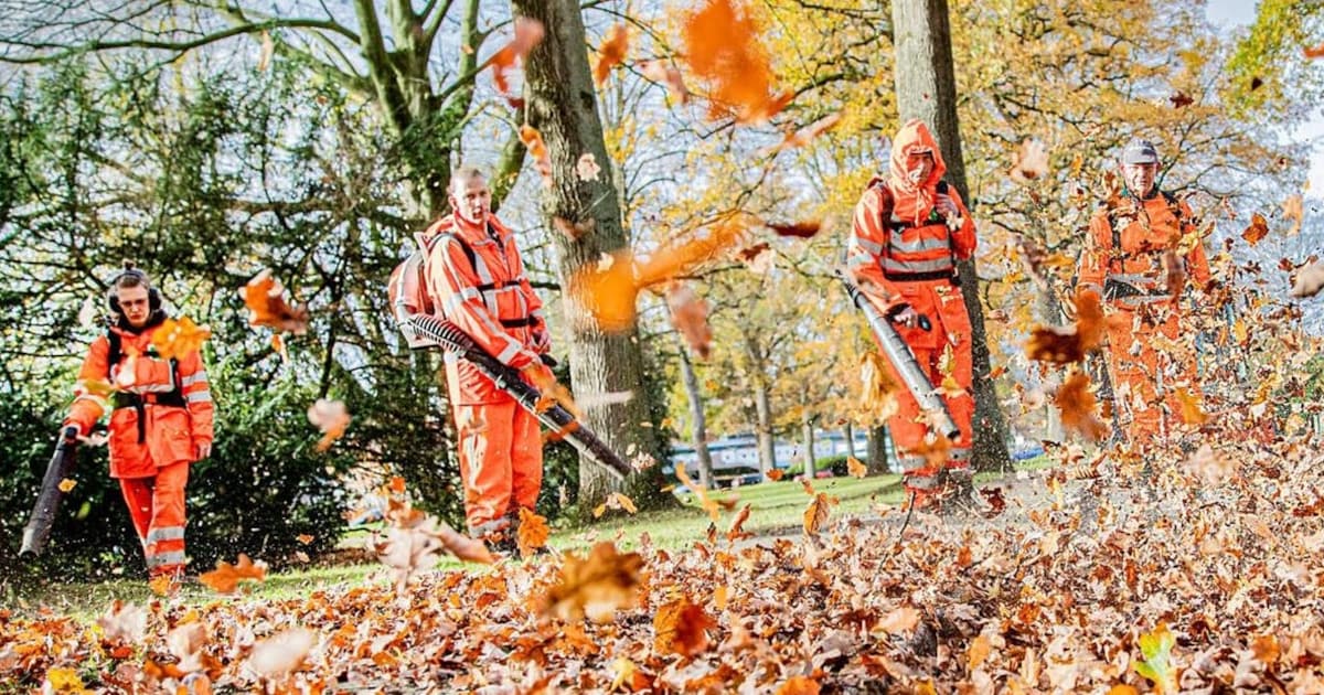 Alle bladeren verzamelen! Zo ruimt gemeente Apeldoorn ze op