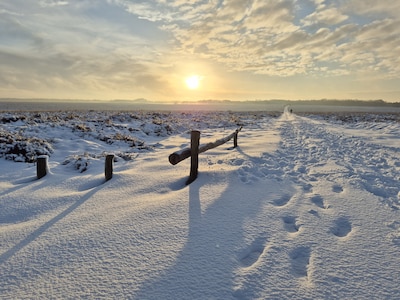 Weerexpert Wouter: ‘Gelderse sneeuw blijft voorlopig liggen en woensdag valt er meer’
