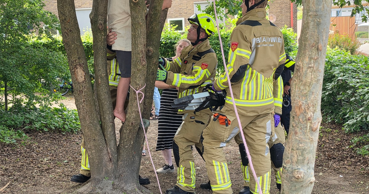 Jongen vast tussen boomtakken bij school, brandweer schiet te hulp
