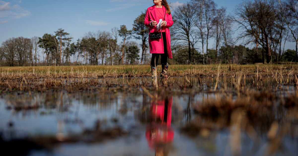 Hoe natuurbeheer voor natte sokken bij begraafplaats Waarveld in Haaksbergen zorgt