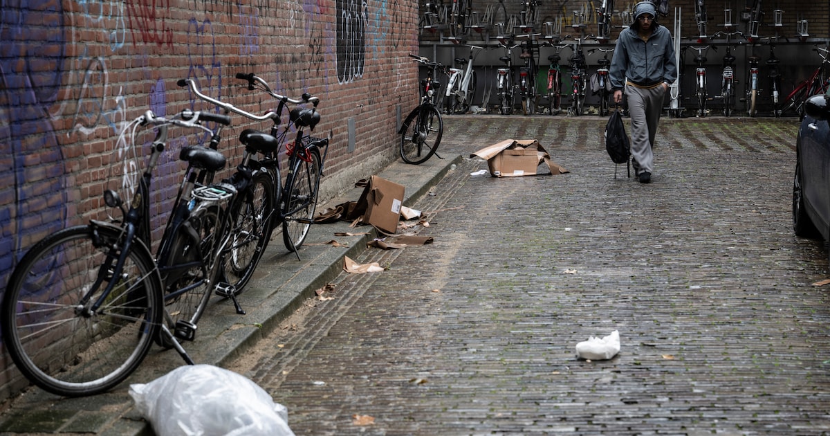Dar gaat elke maand zwerfaval opruimen in grote delen van Nijmegen