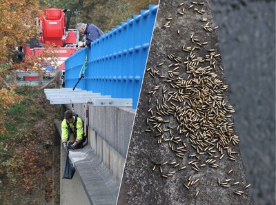 Mysterieuze vondst: ruim 400 kogels gevonden op het randje van de brug