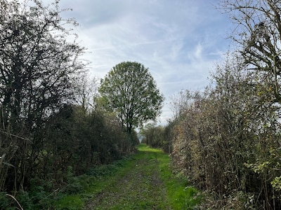 IVN houdt zondag natuurexcursie van uiterwaarden Nijmegen naar het Kops Plateau