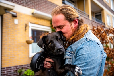 ‘42 graden koorts’: Feya en drie andere honden mogelijk vergiftigd door drugsresten in braaksel