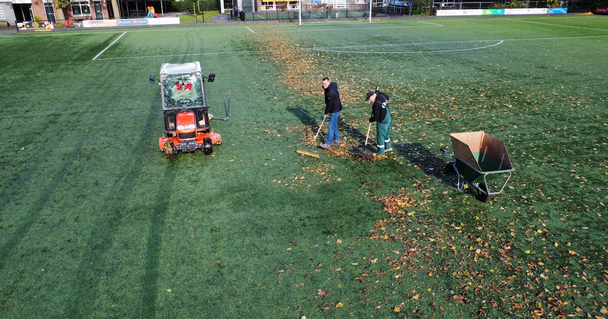 Vrijwilligers maken sv Loil bladvrij en vmbo-leerlingen leren stemmen ...
