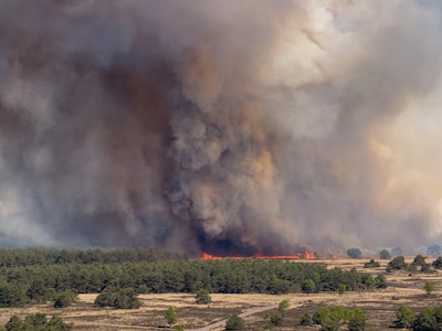 Waarom hogere kans op natuurbrand nu wel betekent dat Defensie direct stopt met gevaarlijke activiteiten