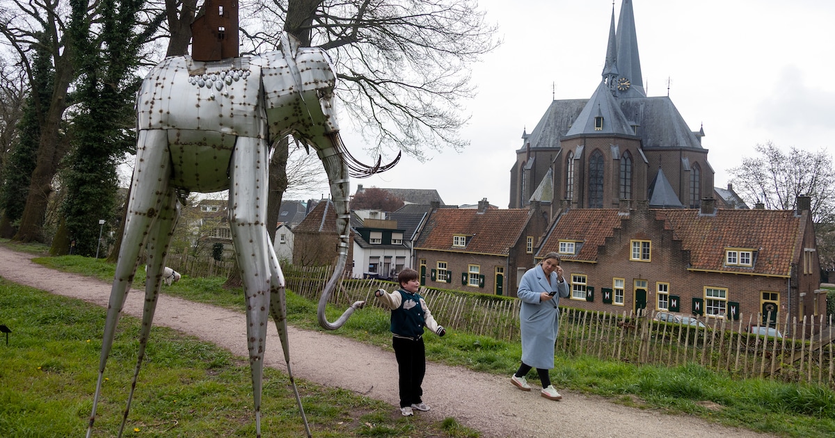 Al meer dan 25 jaar genieten van kunst in de natuur, nu bij middeleeuws kasteel: ‘Dit past er perfec