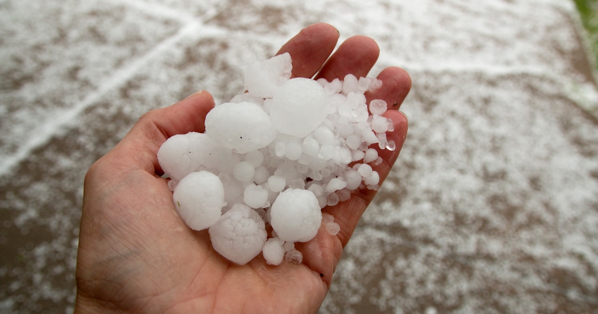 Fors minder schade in Mook en Middelaar door noodweer vorig jaar, schadebedrag door hagel naar hoogs