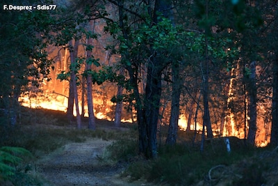 ‘Uitzonderlijk’ grote brand in het bos van Fontainebleau, in de buurt van Parijs