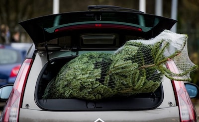 Politieke vragen over inzet Harskampse buurtwacht bij ‘kerstboomdieven’