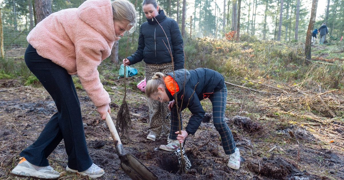 Nieuw bos van vier hectare geplant in Land van Cuijk