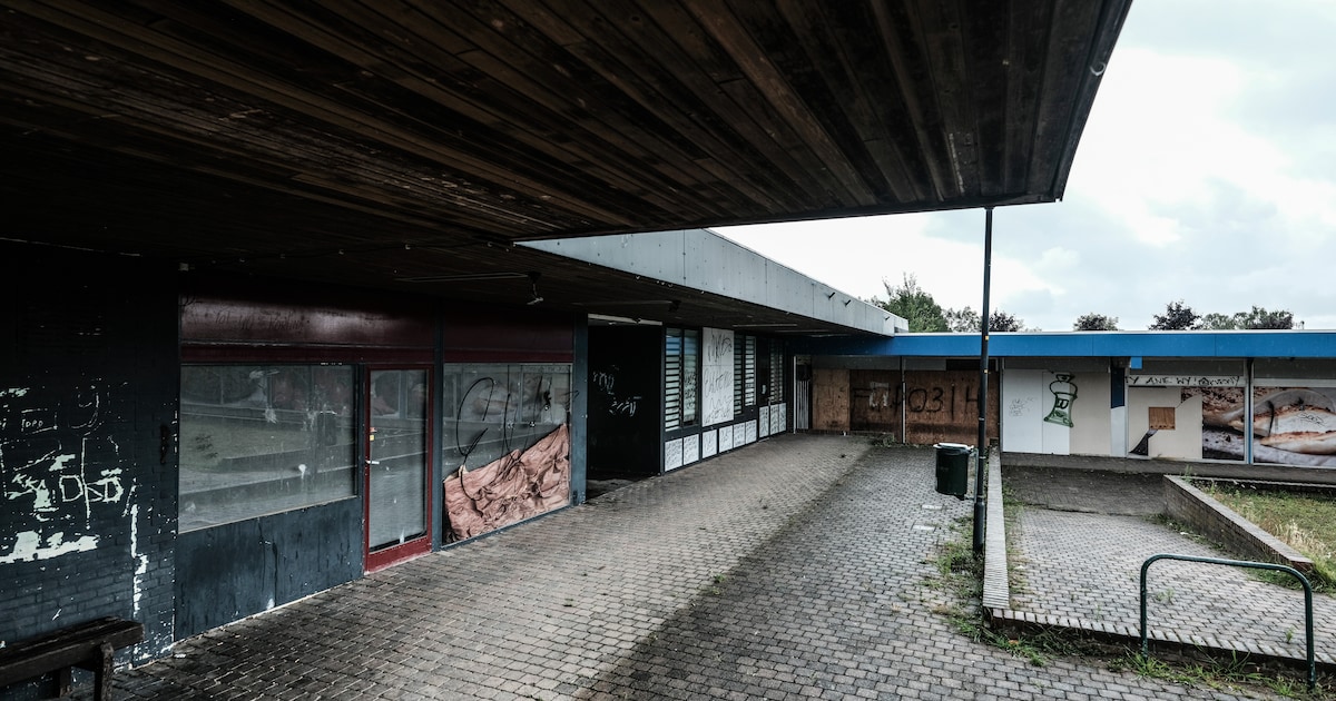 Nieuwe supermarkt in verpauperd winkelcentrum komt dichterbij: vijf vragen over de verhuizing van Li