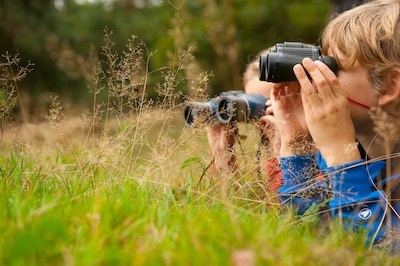 Speuren naar wild in Nationaal Park Veluwezoom