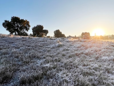 Wandeling over ijstijden op de Loenermark