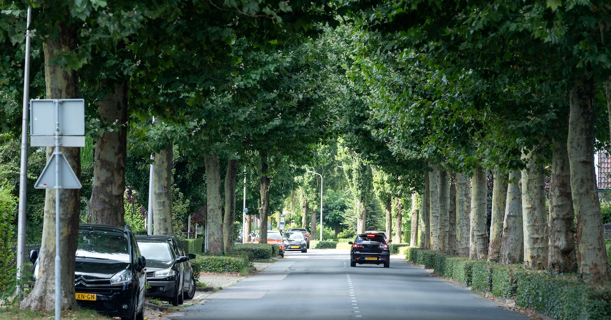 Herinrichting en nieuwe riolering voor Borculoseweg: inwoners Neede kunnen meedenken over plannen