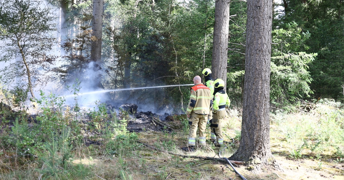 Stukje bos in brand langs Schaartven in Overloon