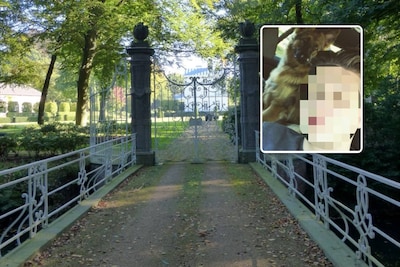Kerstfeest in kasteel eindigt in nachtmerrie voor Nederlandse miljonair: ‘Werk mee of we doden je zoon’